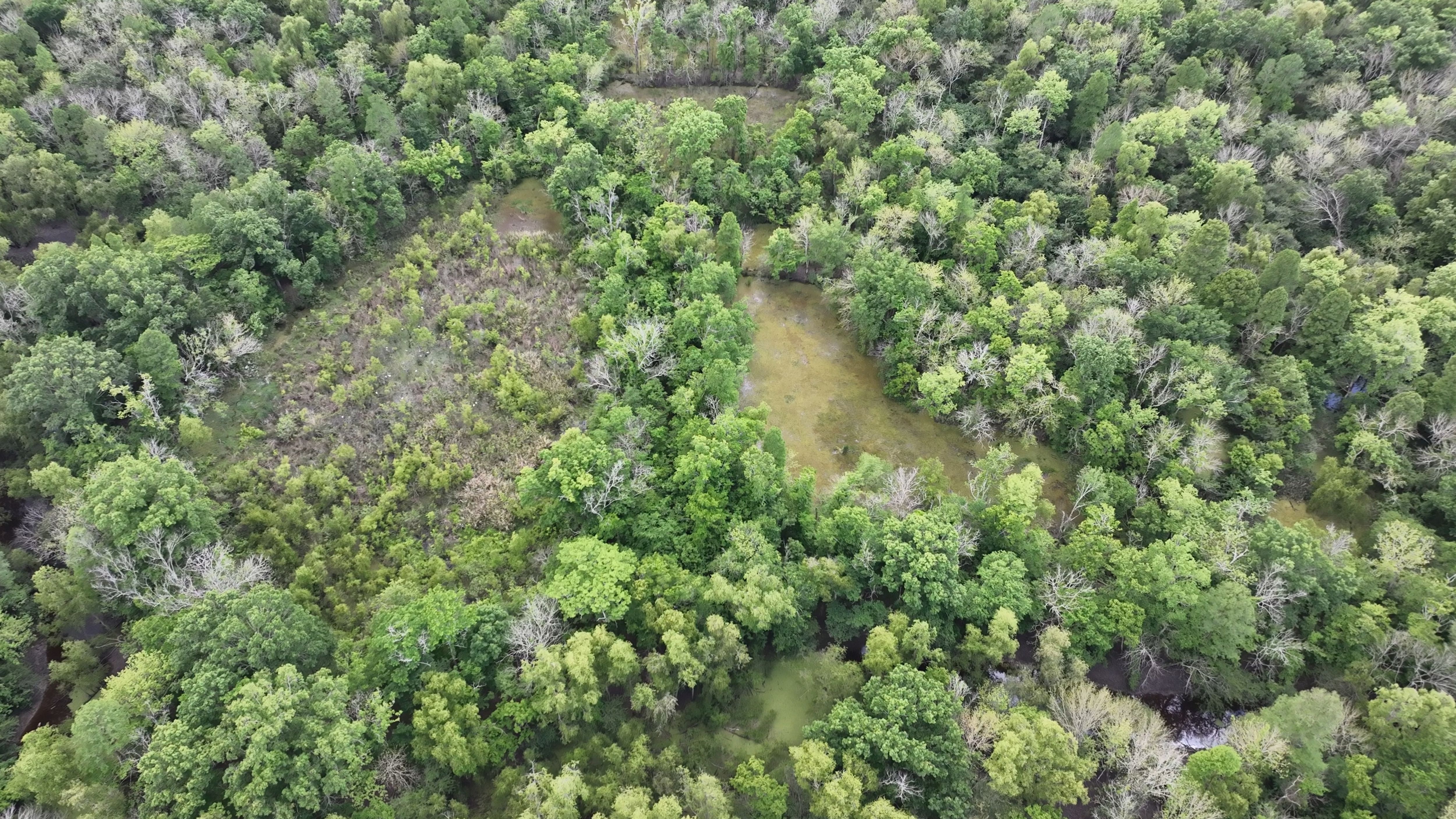 Listing Photo: Louisiana Duck compound